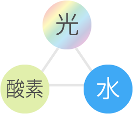 生命の３大要素　光、酸素、水